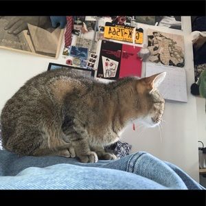 Meet your Posher, Durga vivi